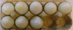 Variatie Acht eieren zoeken (eenvoudiger) U kunt deze les ook geven met acht eieren (twee volle dozen van vier eieren).
