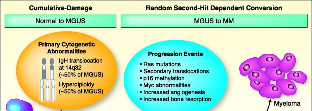 MGUS. 3 klinische types.