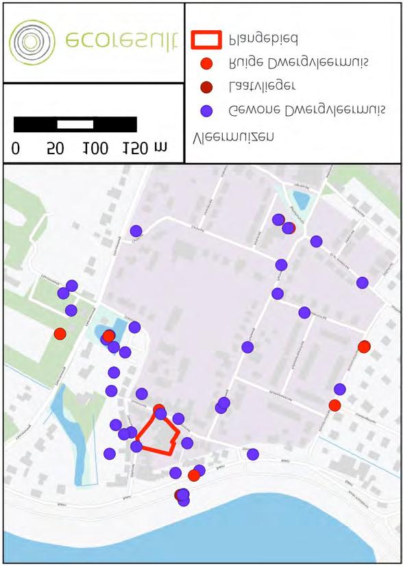 Afbeelding 2: Waarnemingen van vleermuizen. Kaartbron: PDOK. 4.1.