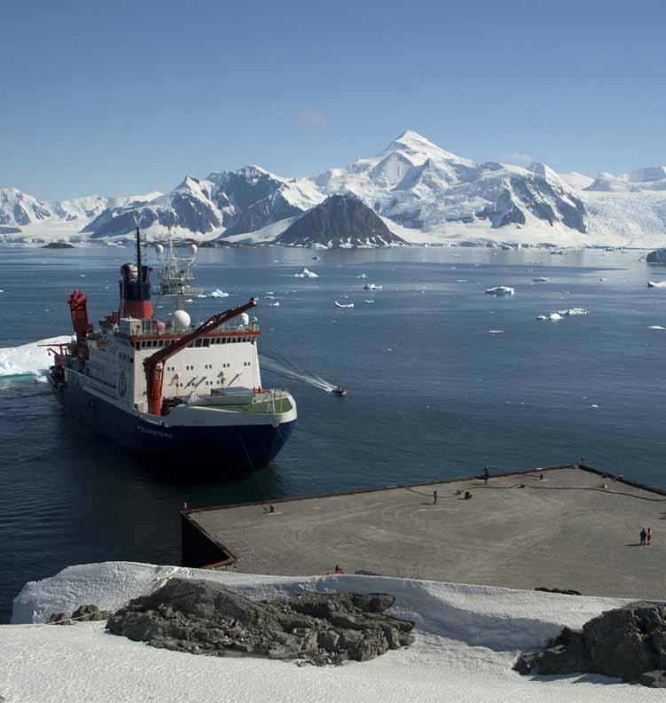 Wageningen in de wereld Zeevogelonderzoek op Antarctica Op de Zuidpool vinden we bij ruim driekwart van de dode kuikens van het Wilsons stormvogeltje stukjes plastic in de maag, vertelt Jan Andries