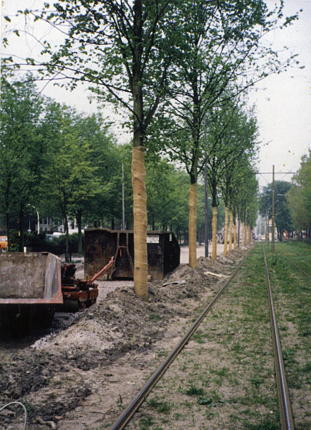 2 1988 Langs de tramrails aan de Scheveningseweg zijn in 1988 halfwas bomen geplant.