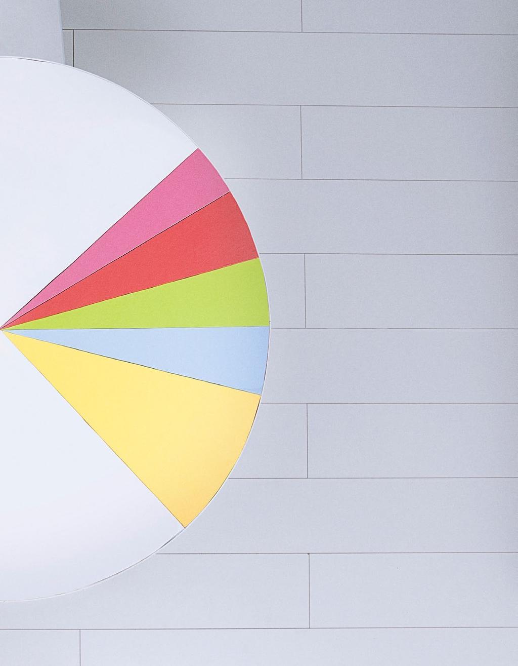 76% 3% Andere institutionele en particuliere beleggers FMR LLC (VS) 9% 4%