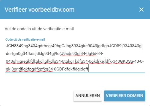 9. Een nieuw scherm opent zich om het domeinnaam te verifiëren. Voer de code uit de verificatiemail in. 10.