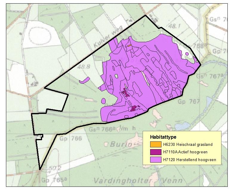 4. Uitwerking gebiedsanalyse per habitattype 4.1 Inleiding In dit hoofdstuk volgt een uitwerking van de gebiedsanalyse per habitattype.