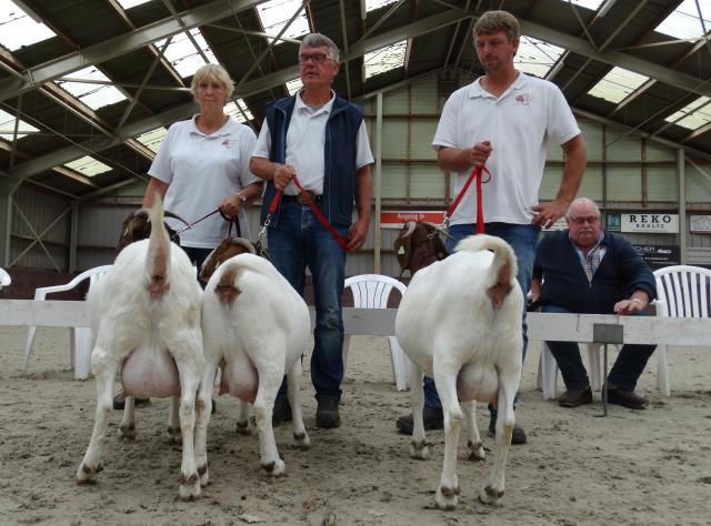 ---------------------------------------------------- Rubriek 34 Boergeiten 1 jaar 202. Knoalster Maggie NL100025951347 X S Geb: 3-1-2016 V. : Beech-Hay Jumbo NL100025251282 M.