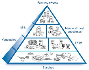 Voedseldriehoek Dan de voedseldriehoeken zoals je ze vaak tegenkomt. De Amerikaanse driehoek had in eerste instantie maar vier lagen.