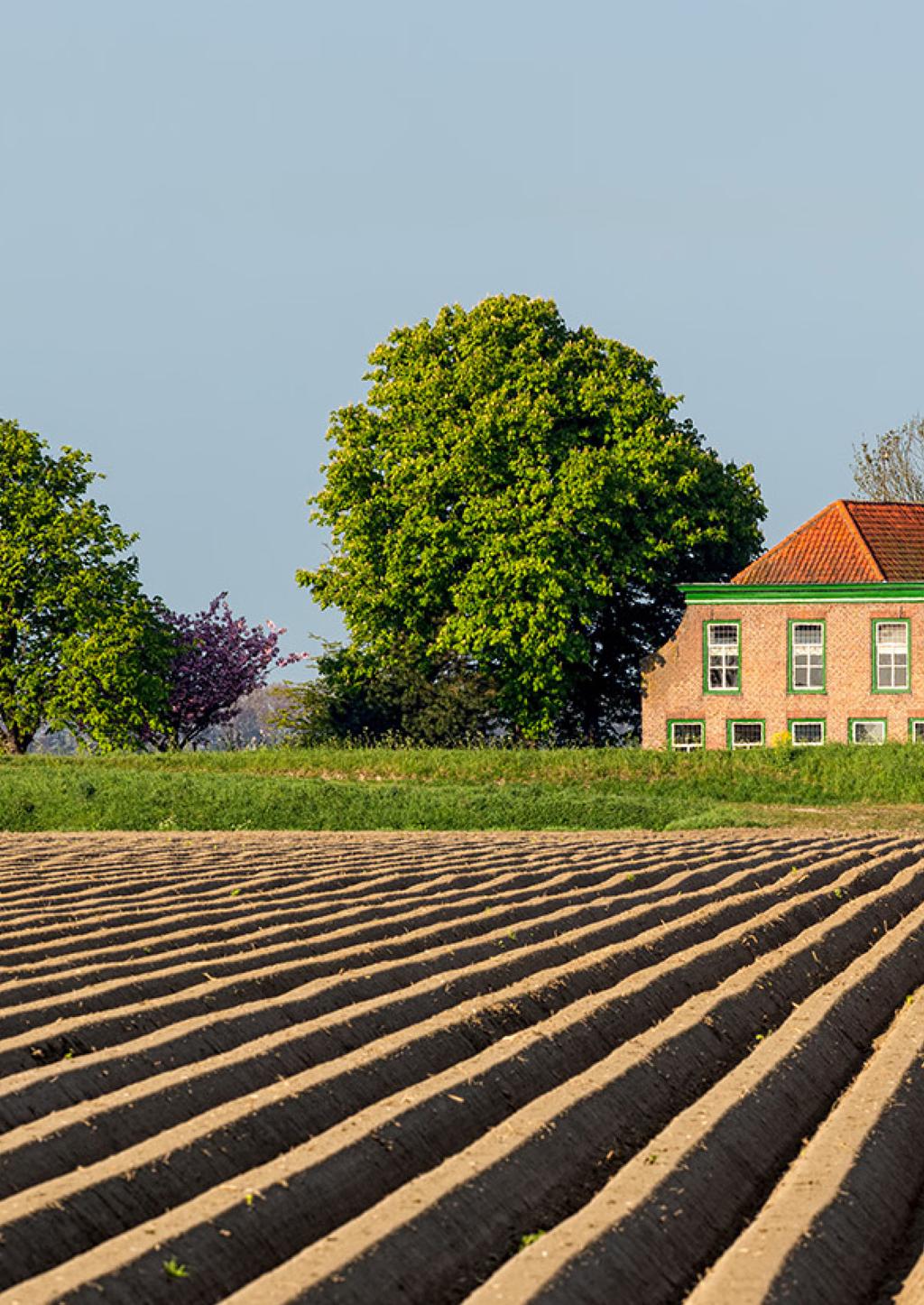 Ontwikkelingsagenda In de ontwikkelingsagenda voor de agrarische sector tot 2030 zijn de belangrijkste ontwikkelpunten voor de agrarische sector benoemd.