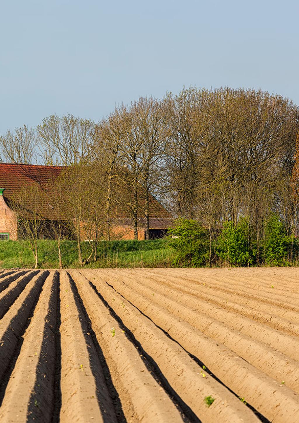 - Kenniscentrum; Door het leveren van een bijdrage aan een kenniscentrum kunnen zowel werkzame personen in de sector als ambtenaren meer kennis van de sector opdoen.