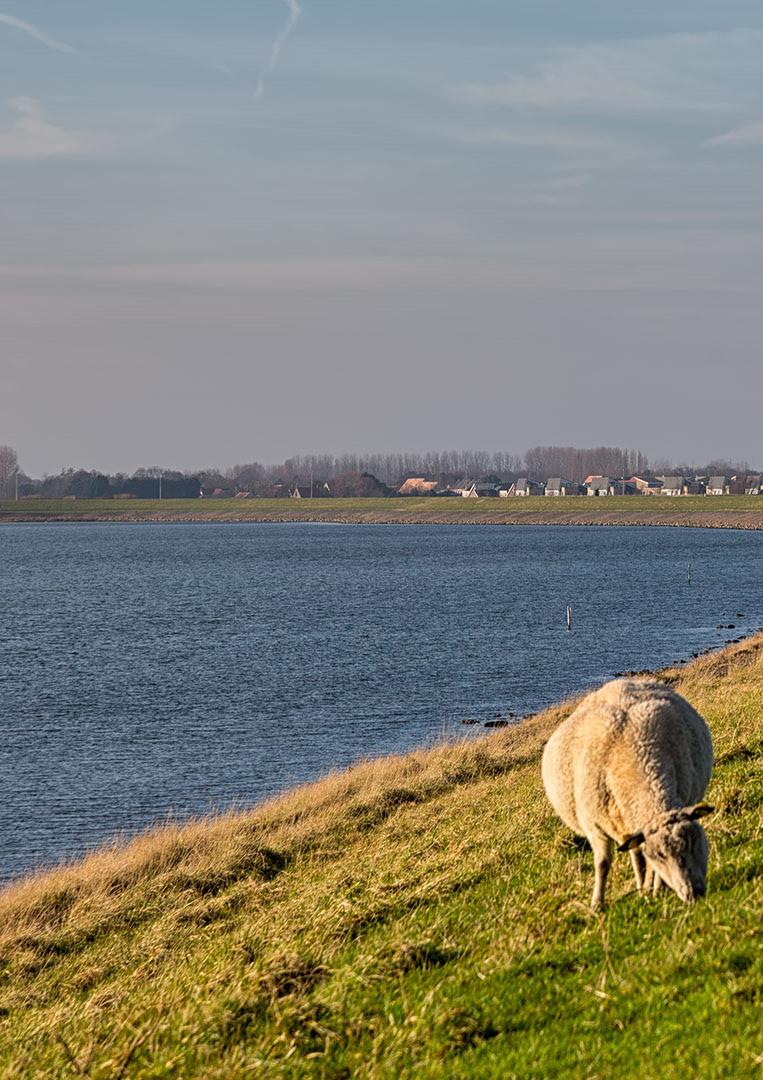 Een blik in het proces In de bovenstaande figuur is de trendlijn weergegeven van het aantal bedrijven en hectaren