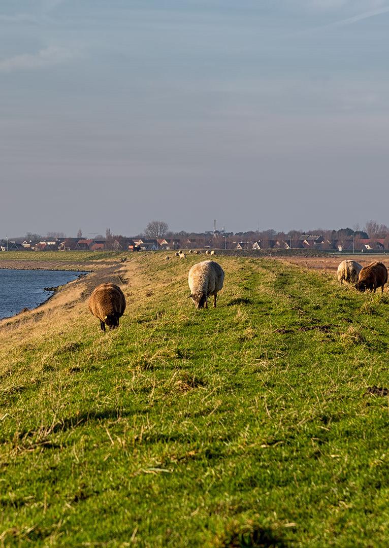 Agrarische bedrijfstypen Legenda Gedurende het project hebben er twee inspiratieavonden plaatsgevonden. Tijdens de eerste inspiratieavond waren er alleen agrarisch ondernemers aanwezig.