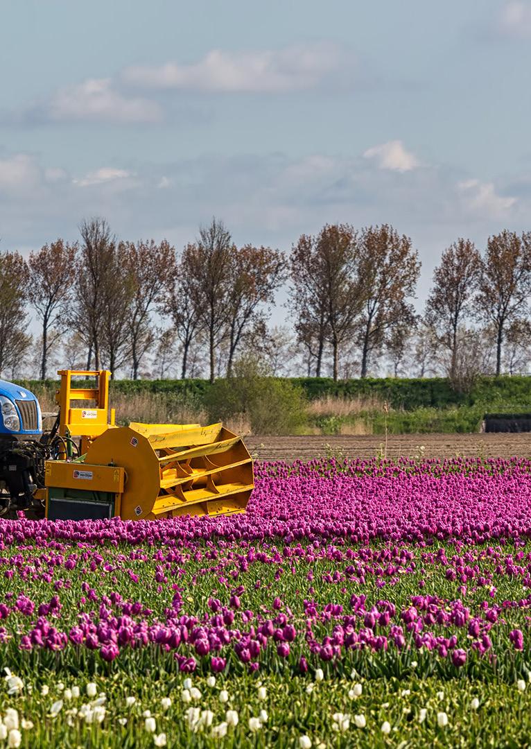 landbouwgrond te klein geworden aldus veel agrariërs. Op termijn kunnen de hoge grondprijzen zorgen voor hogere kosten en daarmee een negatieve invloed op de concurrentiepositie van de sector.