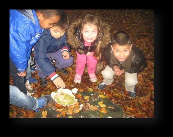 Woensdag zijn we met alle gele groepen naar het bos geweest. Het was erg mistig dus echt herfstweer.