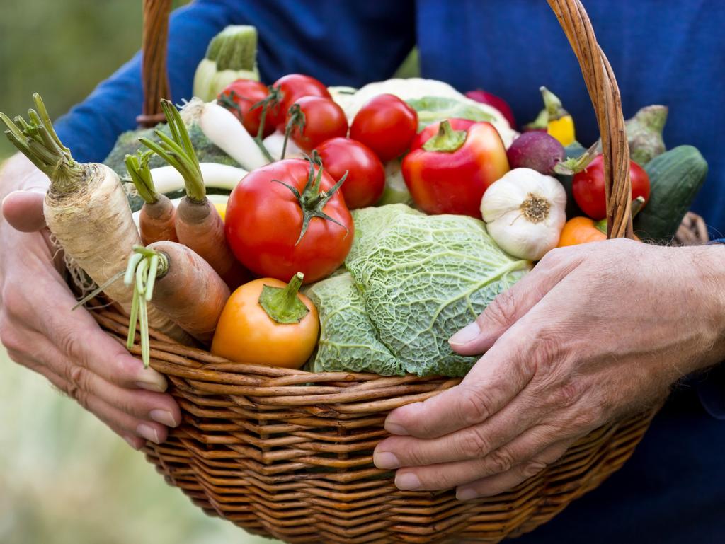 GOOD FOOD STRATEGIE NAAR EEN DUURZAAM