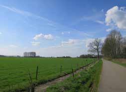 Oude IJsselarmen Oude meanders van de IJssel liggen in kronkelende patronen in het landschap en zijn een weergave van de (voormalige) dynamiek in het rivierenlandschap.