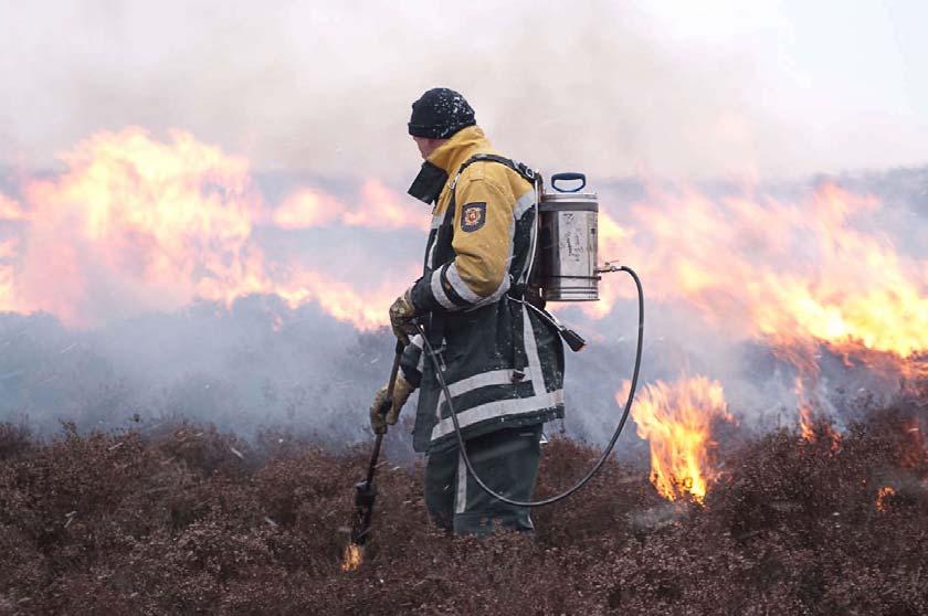 Droge Heide Branden gedurende de winter verwijdert in droge heidesystemen 100-170 kg N/ha en circa 2 kg P/ha.