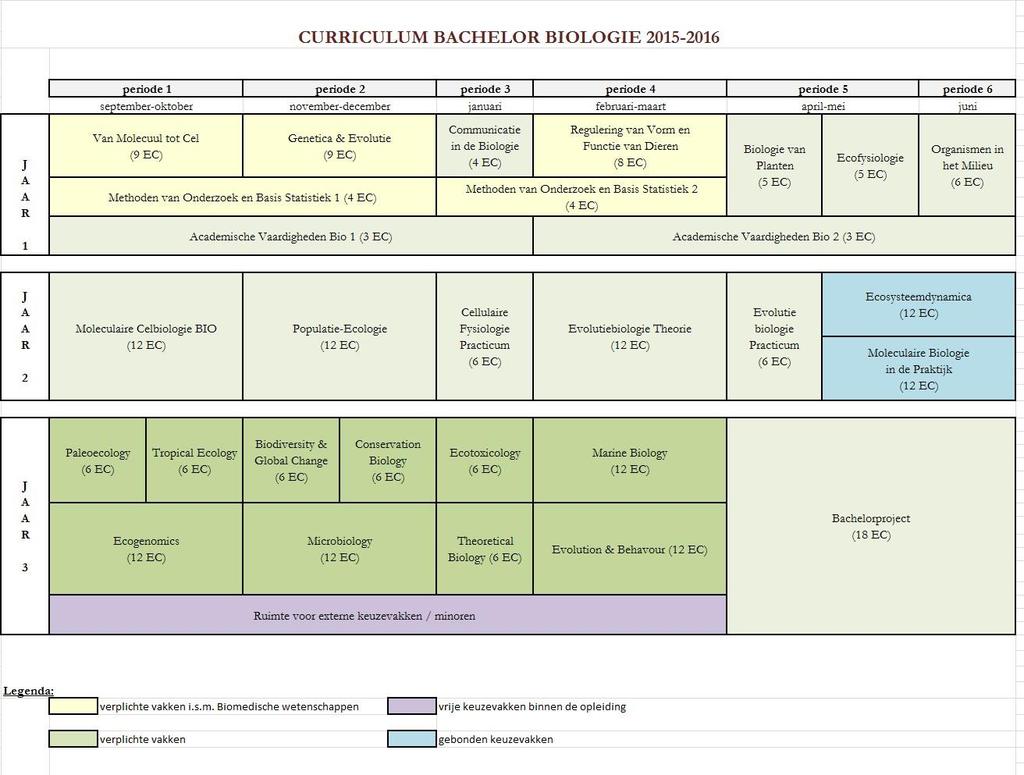 Bijlage 4: Overzicht van de programma s