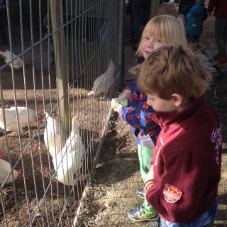 In de bouwhoek worden hokken gebouwd waar de dieren in verblijven. We maken schapen en lammetjes.