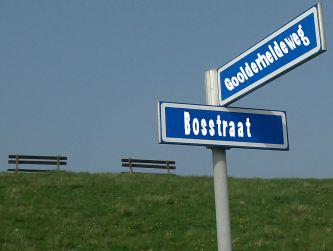 4. Bosstraat 3 - straatnaamwijziging naar Goolderheideweg 20 - principiële beslissing Op de percelen langs de Bosstraat 1 en 3 liggen twee woonentiteiten. Beide wooneenheden zijn vergund.