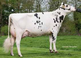 2014/15 2014/15 Gandolf 22.01.2006 CVF BLF BYF 1444 DEU 00034262 624HO044 Goldwyn Rosette VG 85 ( Manat) La 2 12481 4,25 531 3,57 445 Rosalie-32 VG 87 ( Rudolph) La 5 12624 4,61 582 3,74 472