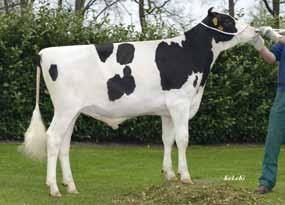 HHF Mac) Missy EX 91 ( Reganc. Elton Durham) kruiste laag/ Go Now RF 04.05.