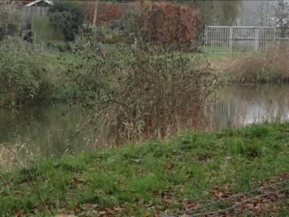 De faunapassage is omgeven door een natuurlijk aangelegde beek met groene oevers.