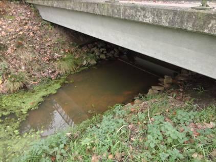 Aan de andere kant grenst de passage aan een bosrijke tuin/omgeving.