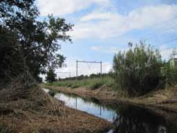 De kwaliteit van de natuur staat echter onder druk door de versnippering van het natuurgebied en door de slechte waterkwaliteit.