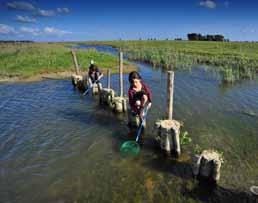 Ten eerste maakt de hoge getijdeslag in de Noord van wel 90 cm, het mogelijk hier de bijzondere zoetwatergetijdennatuur van vóór de inpoldering te herstellen.