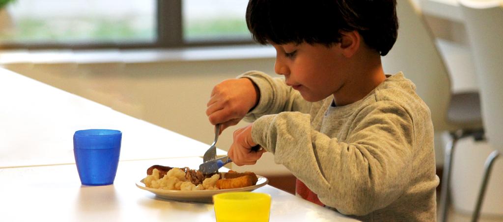 Bij Kids Lodge kiezen we er dan ook voor om geen dwang bij het eten op te leggen. Het ene kind heeft meer voeding nodig dan het andere kind. Kinderen hebben voeding op verschillende momenten nodig.