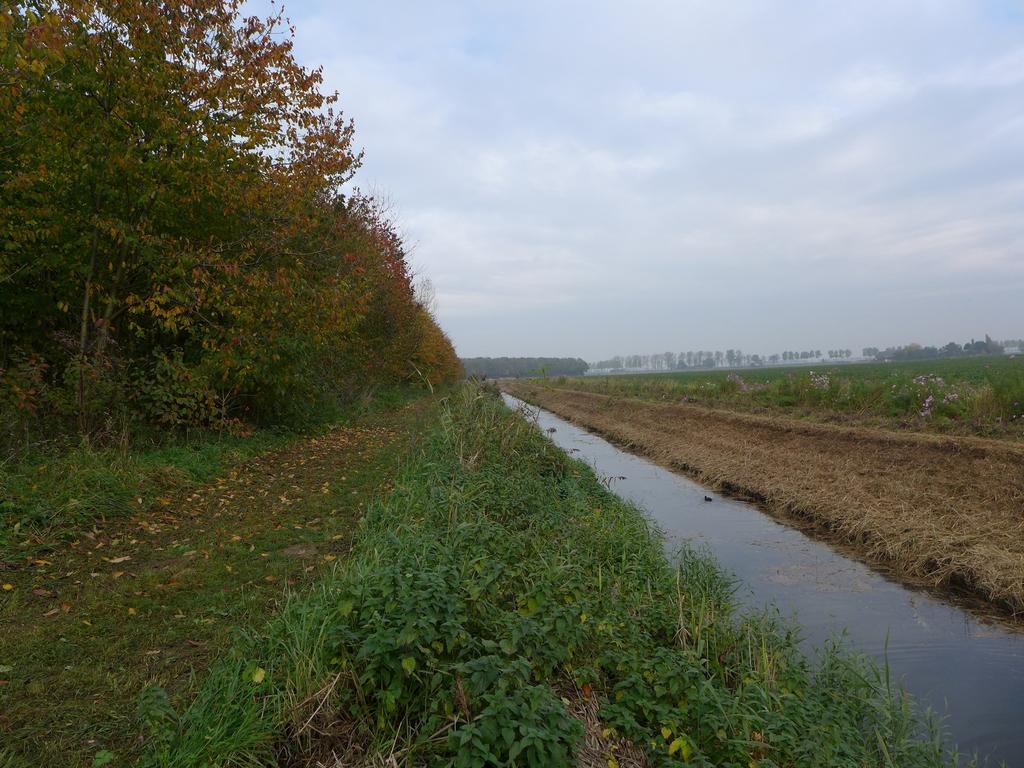 Figuur 4: Zicht op het bosplantsoen en de kreek.