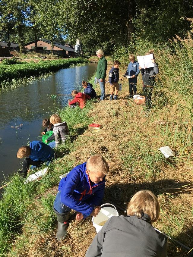 Dezonschenlekerinhetopenelden Waterdiertjes. Met een schepnet in onze hand, stonden we langs de waterkant.