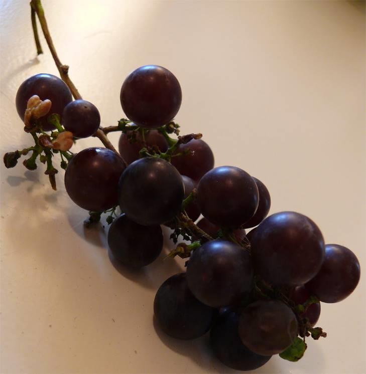 10 Gezonde maaltijd Simon vindt druiven alleen lekker als zijn moeder de schilletjes en de pitten verwijderd heeft. Toch is het beter de schillen en de pitten op te eten. Waarom is dat beter voor je?