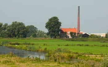 Het fabrieksterrein, dat in het verleden fors is opgehoogd, graven we weer grotendeels af en de steenfabriek wordt gesloopt. De schoorsteen blijft staan. Zo krijgt de rivier meer ruimte.