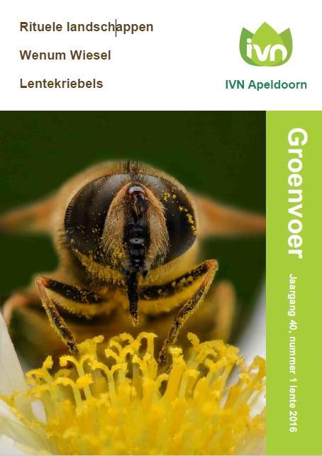 Twitter IVN Apeldoorn heeft op Twitter 160 (2015: 118) volgers. In 2016 zijn 1048 (re)tweets uitgedaan (dus bericht van IVN zelf en berichten van anderen, die met de natuur te maken hebben).