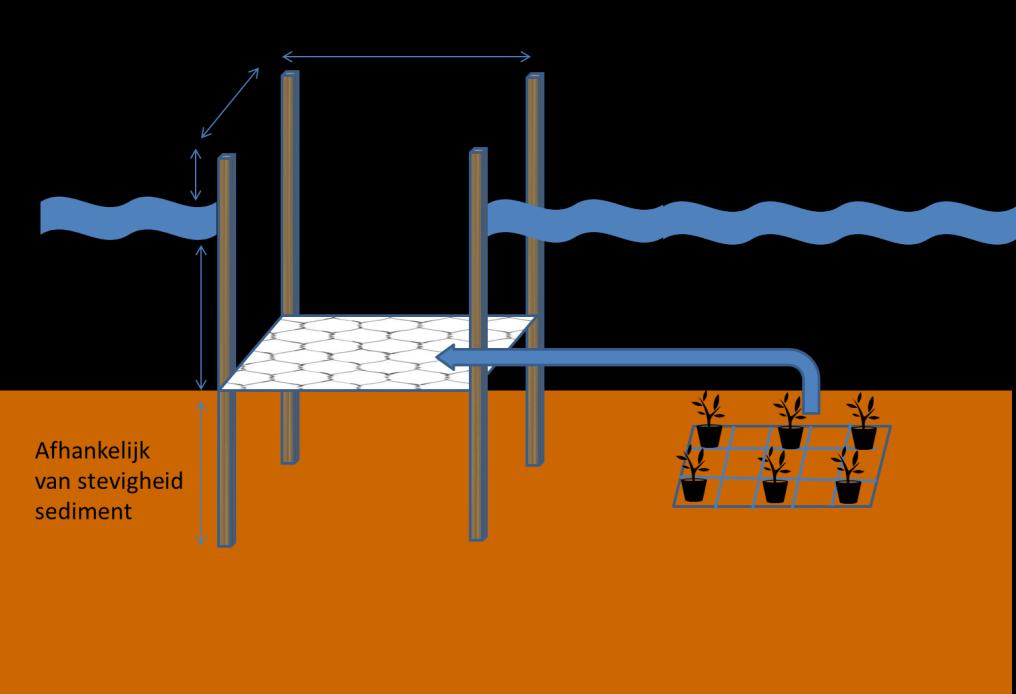 kooiproeven ingezet in de Reeuwijkse plassen (Kalverbroek).