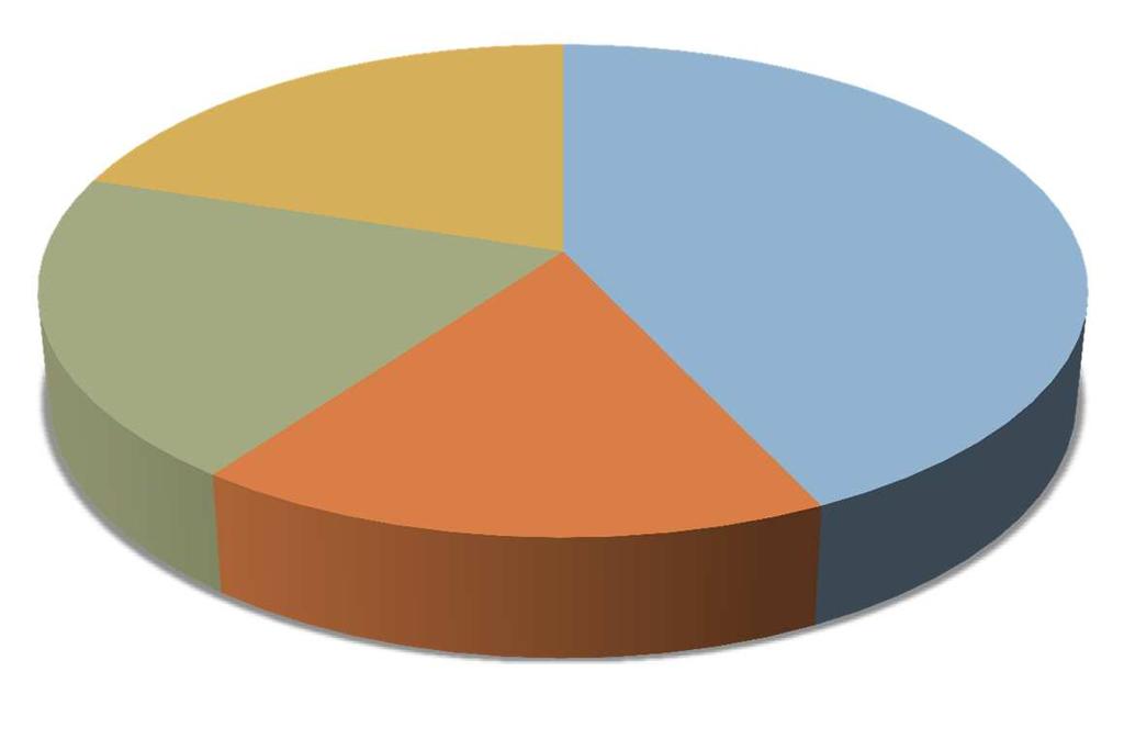 Resultaten eerste categorisatie Eerste categorisatie van de steekproef getrokken uit het totaal aantal oproepen voor politiezone