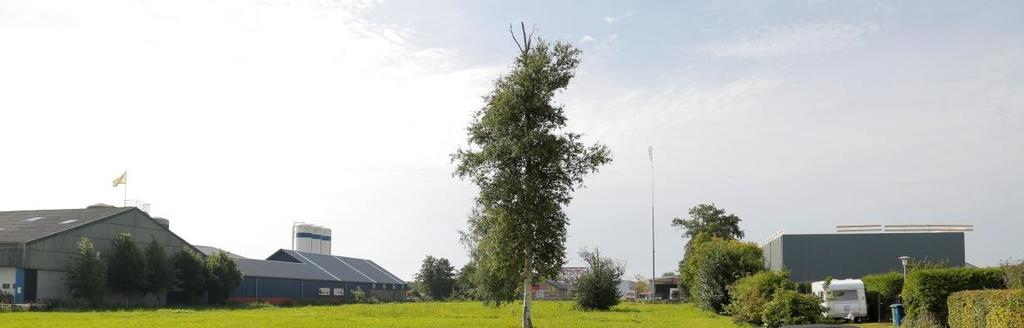 Omdat de holte niet doorloopt omhoog en in deze holte regenwater kan komen is deze niet geschikt voor vleermuizen om in te verblijven.