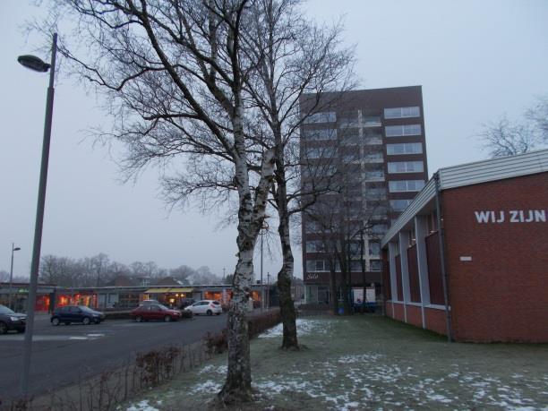 Vliegroutes Vliegroutes van vleermuizen lopen langs lijnvormige elementen zoals bomenrijen maar ook gevels van gebouwen.