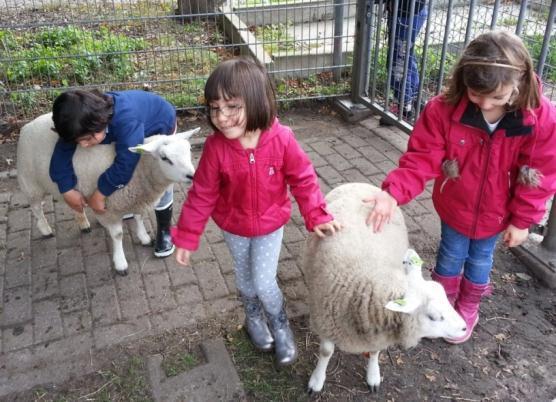 Herfstmarkt ZieZoo is partner van kinderboerderij Essesteijn. Daarom deden wij graag mee aan de herfstmarkt die voor de eerste keer werd gehouden op de kinderboerderij.
