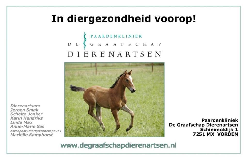 RUBRIEK B9 SECTIE B 4 EN 5 JARIGE MERRIES MET VEULEN Rubrieksponsor Stal Wildwoud, Geldermalsen 63 ERICA'S ALYCIA 528017201300358, STB, SECTIE B, 01-06-2013, 1.32 M, VOS V. DEN BRAMEL'S BAYE PREF V.