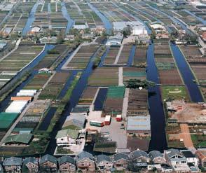 veengebieden en klei-op-veen- en rivierkleigebieden: onderscheid agrarische linten en multifunctionele linten, inpassing dorpsranden - droogmakerijen: planologische ruimte voor nieuwe experimentele