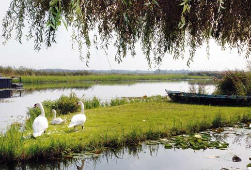 In twee projecten wordt geanticipeerd op een nieuwe strategie door te zoeken naar nieuwe functies en een nieuwe toekomst voor de landbouw, passend bij de waterhuishouding: Groot Mijdrecht-Noord