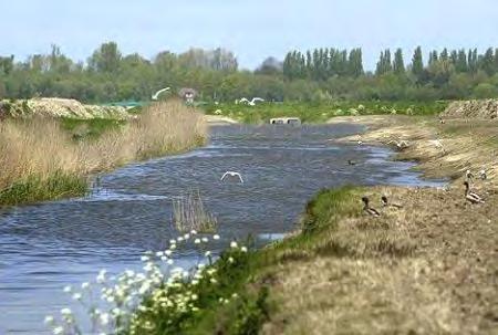 Om een zo natuurlijk mogelijke overgang te krijgen van het zoute naar het zoete water wordt een vrij verval vispassage voorgesteld (zie figuur 18).