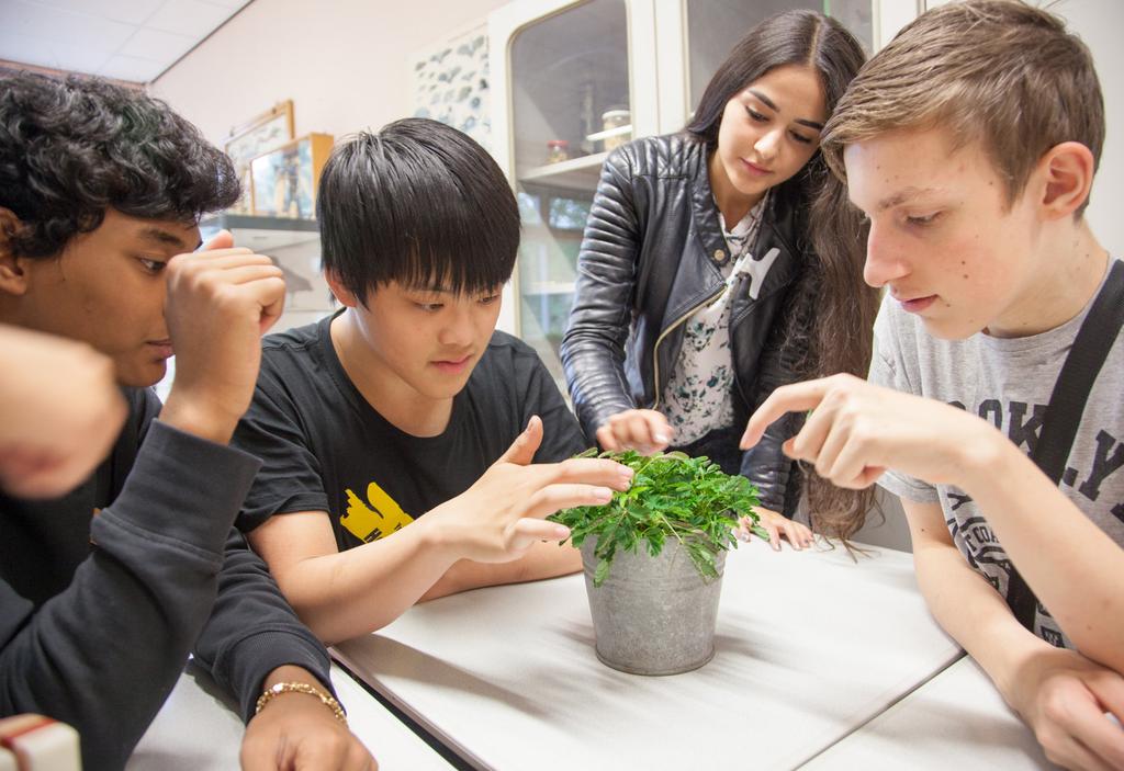 2. De doelstellingen van de Scholengroep De doelstellingen van de Scholengroep 1. Eigentijds en onderscheidend onderwijs We verzorgen op alle scholen eigentijds en onderscheidend onderwijs.