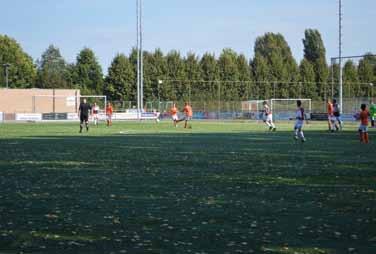 Het is belangrijk dat voorkomen wordt dat organisch materiaal gaat rotten op een veld.