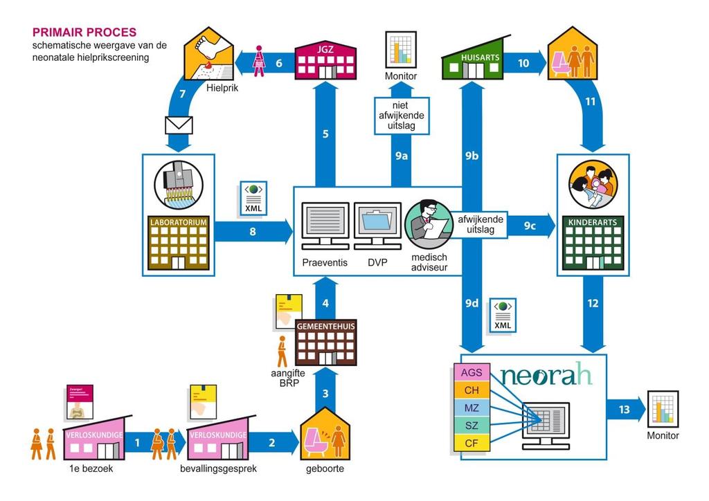 3 Primair proces De activiteiten de nodig zijn voor het proces van selectie van kinderen, uitnodiging en voorlichting, screening, communiceren uitslag en verwijzing, diagnostiek en behandeling,
