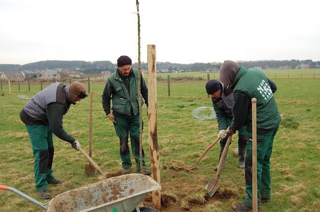 NBSW vzw Natuur en Boomgaarden maatwerkbedrijf plant-, snoei- en onderhoudswerken Voor de uitvoering van aanplant- en onderhoudsprojecten kunnen