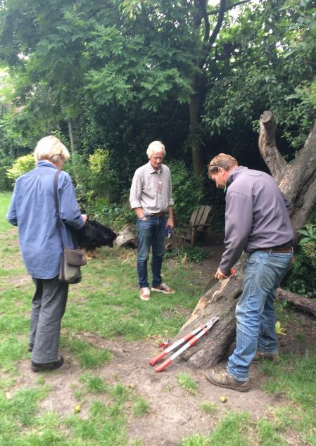 Afgelopen zomer is er veel onderhoud in de Kloostertuin verricht.