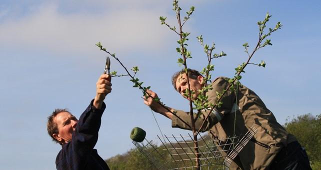 Tijdens deze snoeiactiviteit gaan we samen de bomen in de Blakt tussen Oirlo en Venray snoeien. Voor het benodigde gereedschap en de begeleiding wordt door IKL gezorgd.