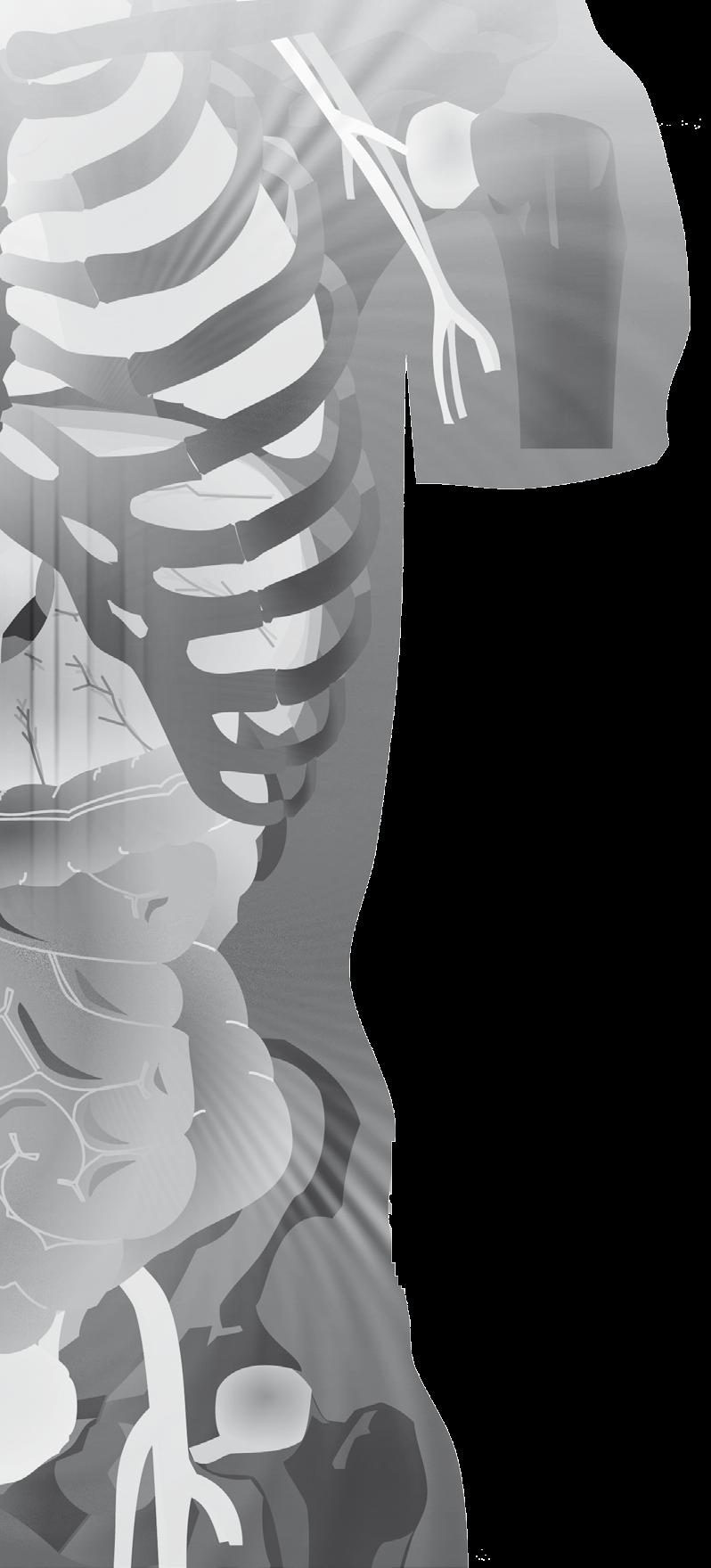 deel 5 Weefsel- en cellenbanken banken voor lichaamsmateriaal AC biobanking/weefsel- en cellenbanken transplantatieprogramma s - bank van het locomotorisch stelsel orthopedie traumatologie